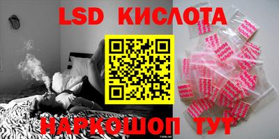 прущие грибы Владивосток