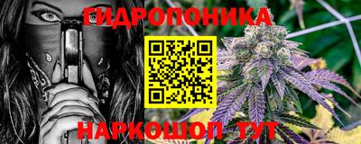 прущие грибы Владивосток